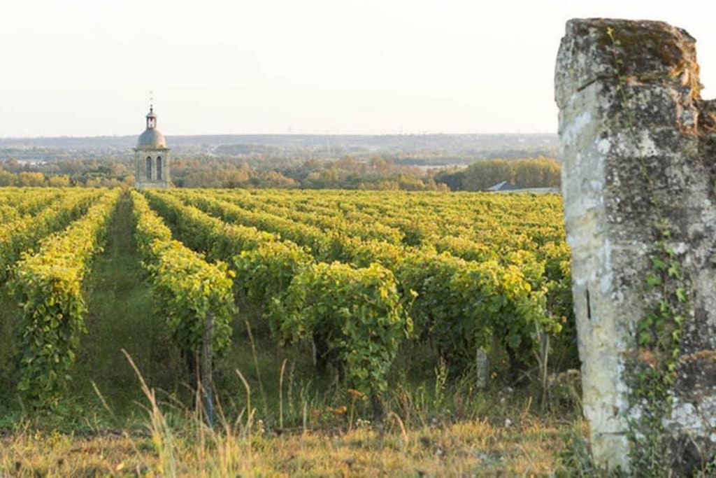 Studio Au Coeur Des Vignes Apartman Montlouis-sur-Loire Kültér fotó