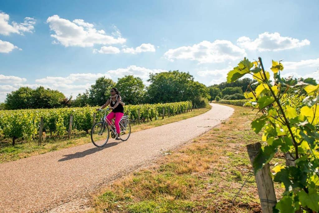 Studio Au Coeur Des Vignes Apartman Montlouis-sur-Loire Kültér fotó